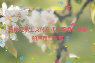 东南亚本土支付方式在跨境电商中的应用与发展