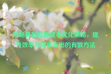 网站基础设施成本优化策略，提升效率与降低支出的有效方法