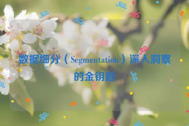 数据细分（Segmentation）深入洞察的金钥匙
