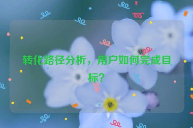 转化路径分析，用户如何完成目标？