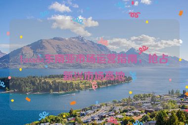 Lazada东南亚市场运营指南，抢占新兴市场高地