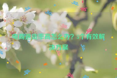 电商退货率高怎么办？5个有效解决方案