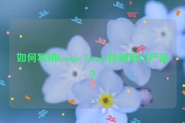 如何利用Google Trends找到热门产品？