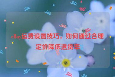eBay运费设置技巧，如何通过合理定价降低退货率