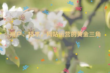 用户、技术，网站运营的黄金三角