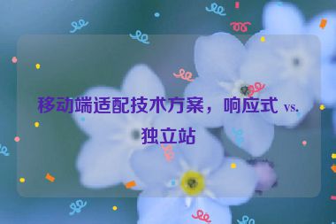 移动端适配技术方案，响应式 vs.独立站