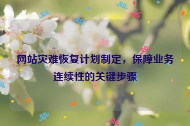 网站灾难恢复计划制定，保障业务连续性的关键步骤