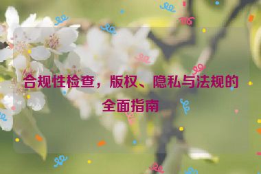 合规性检查，版权、隐私与法规的全面指南