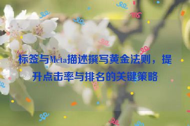 标签与Meta描述撰写黄金法则，提升点击率与排名的关键策略