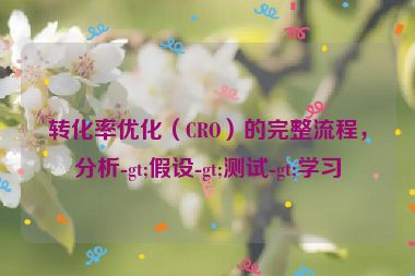 转化率优化（CRO）的完整流程，分析-gt;假设-gt;测试-gt;学习