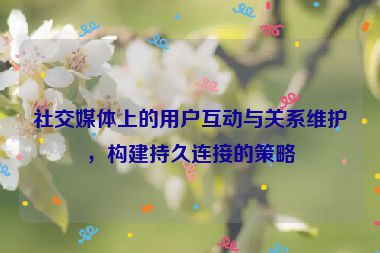 社交媒体上的用户互动与关系维护，构建持久连接的策略