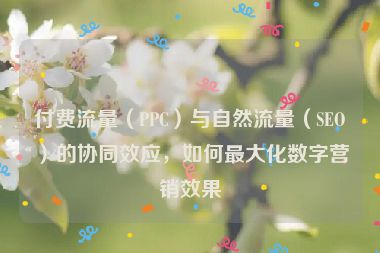 付费流量（PPC）与自然流量（SEO）的协同效应，如何最大化数字营销效果