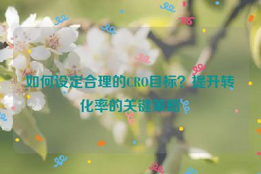 如何设定合理的CRO目标？提升转化率的关键策略