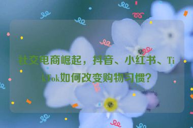 社交电商崛起，抖音、小红书、TikTok如何改变购物习惯？