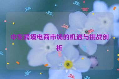 中东跨境电商市场的机遇与挑战剖析