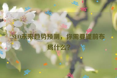 SEO未来趋势预测，你需要提前布局什么？