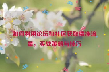 如何利用论坛和社区获取精准流量，实战策略与技巧