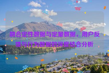 融合定性数据与定量数据，用户反馈与行为数据的深度结合分析