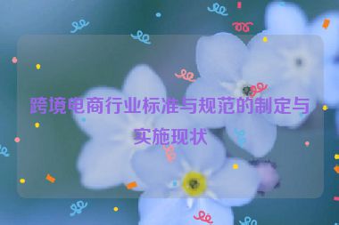 跨境电商行业标准与规范的制定与实施现状