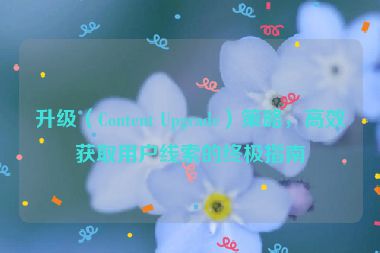 升级（Content Upgrade）策略，高效获取用户线索的终极指南