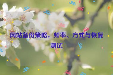 网站备份策略，频率、方式与恢复测试