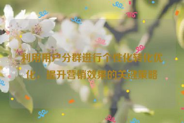 利用用户分群进行个性化转化优化，提升营销效果的关键策略