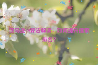亚马逊A9算法解读，如何提升搜索排名？