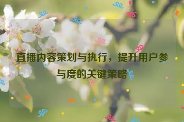 直播内容策划与执行，提升用户参与度的关键策略
