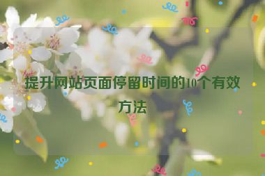 提升网站页面停留时间的10个有效方法