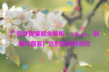广告变现策略全解析，AdSense、联盟与直客广告的优劣势对比