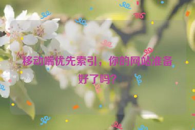 移动端优先索引，你的网站准备好了吗？