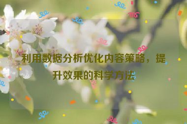 利用数据分析优化内容策略，提升效果的科学方法