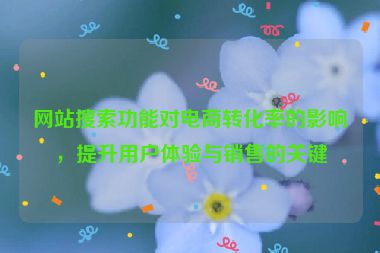网站搜索功能对电商转化率的影响，提升用户体验与销售的关键