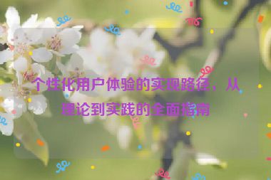 个性化用户体验的实现路径，从理论到实践的全面指南